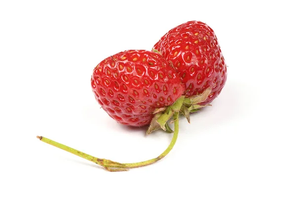 Herencia orgánica fea fresas cultivadas en casa aisladas sobre fondo blanco . — Foto de Stock