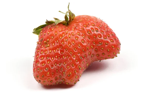 Ful ekologisk släktklenod hemodlade jordgubbar isolerade på vit bakgrund. — Stockfoto