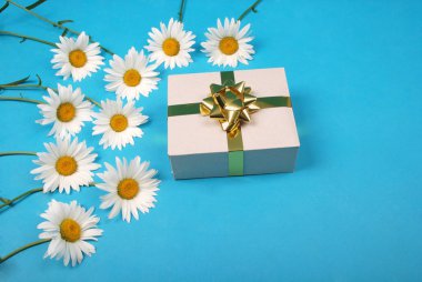 Altın kurdele yay ile hediye kutusu ile beyaz papatya.