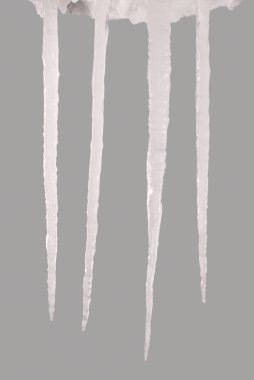 Bir gri (kırpma yolunu izole saçağı)