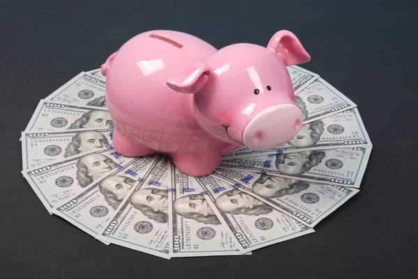 Piggy bank rosa em dinheiro — Fotografia de Stock
