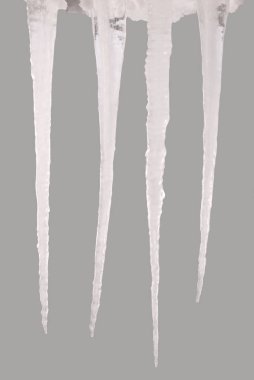 Bir gri (kırpma yolunu izole saçağı)