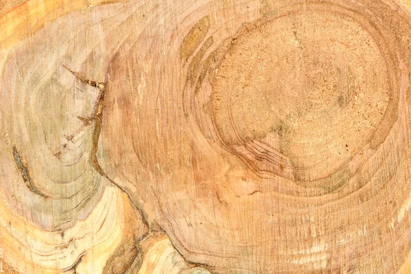 Κορυφαία όψη της επιφάνειας του φρέσκου κορμού με ετήσια δαχτυλίδια — Φωτογραφία Αρχείου