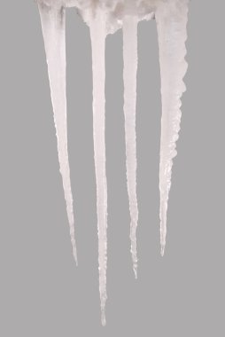 Bir gri (kırpma yolunu izole saçağı)