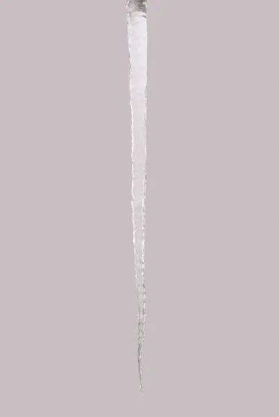 Ледяное мороженое изолировано на сером (Вырезка пути ) — стоковое фото
