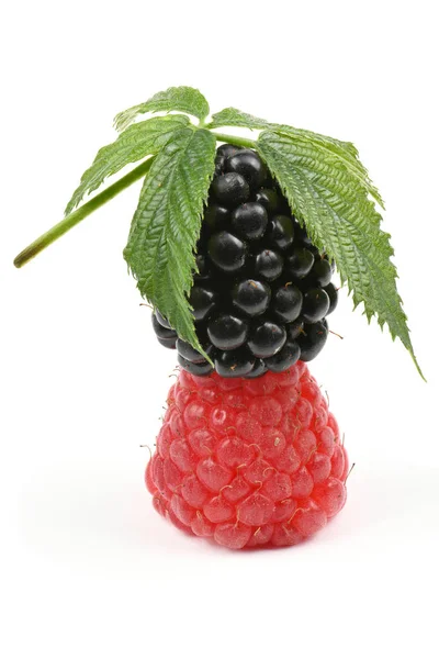 Reife Brombeeren und Himbeeren — Stockfoto