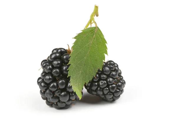 Ripe blackberry — Stock Photo, Image