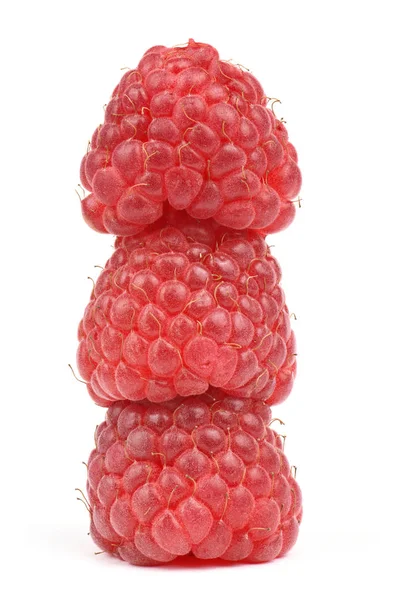 Три ягоды красной малины — стоковое фото