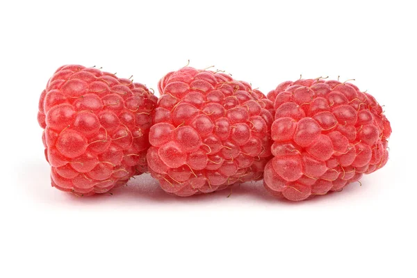Три ягоды красной малины — стоковое фото