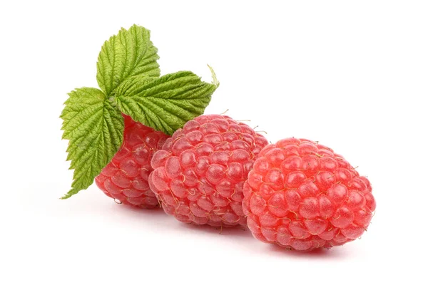 Three red raspberry berries — Stock Photo, Image