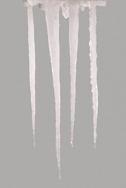 Bir gri (kırpma yolunu izole saçağı)