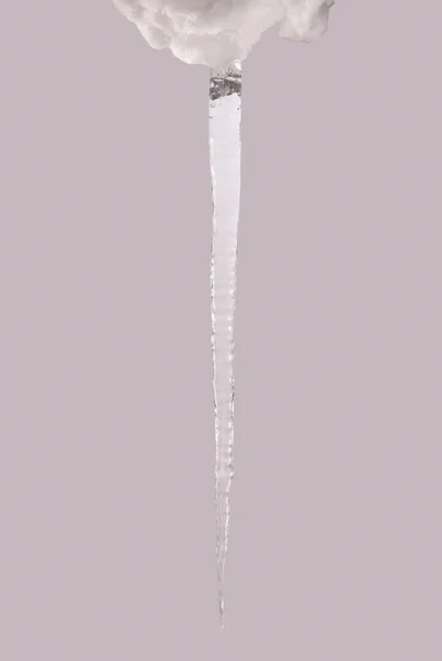Icicle isolated on a grey (Clipping path) — Stock Photo, Image