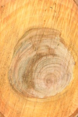 Yıllık halkaları closeup ile taze kütük yüzeyinin üst görünümü. Arka plan olarak kullanmak için. 