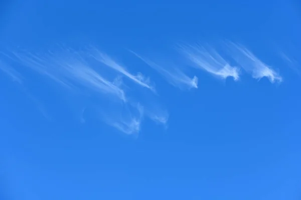 Nubes cumulus de gran altitud en el cielo azul . —  Fotos de Stock
