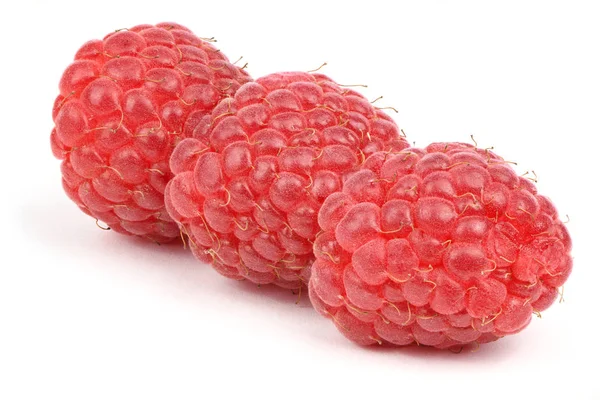 Three red raspberry berries — Stock Photo, Image