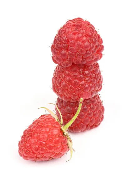 Four red raspberry berries — Stock Photo, Image