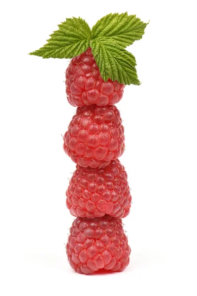 Four raspberries stacked on top of each other. — Stock Photo, Image