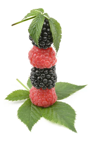 Ripe blackberry and raspberry — Stock Photo, Image