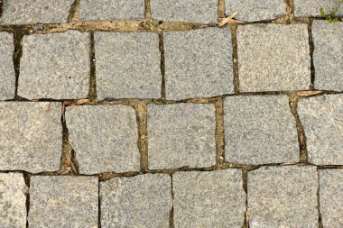 Soyut arka plan - gri asfalt levhalar. Döşeme döşemeleri. Yüksek çözünürlüklü fotoğraf.