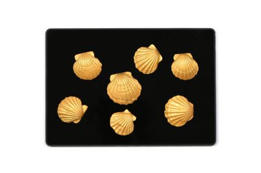 Altın deniz kabuğu tableti ahşap arka planda izole edilmiş. Yüksek çözünürlüklü. Tam alan derinliği.