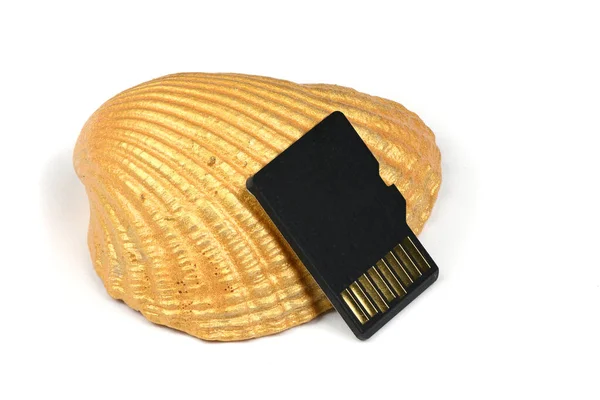 Memory Card Golden Seashell Isolated White Background High Resolution Photo — Stock Photo, Image