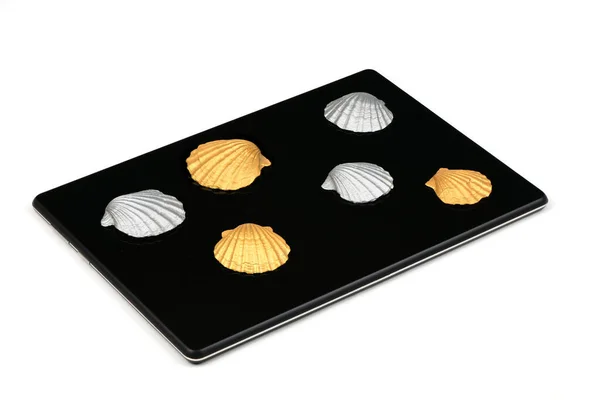 Gümüş Altın Deniz Kabuğu Tableti Ahşap Arka Planda Izole Edilmiş — Stok fotoğraf