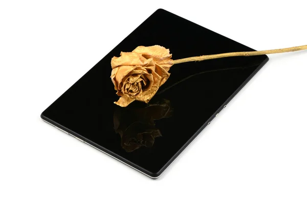 Gouden Roos Tablet Geïsoleerd Witte Achtergrond Hoge Resolutie Foto Volledige — Stockfoto