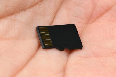 Hafıza kartı ele geçirildi. Yüksek çözünürlüklü. Tam alan derinliği.