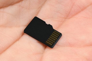 Hafıza kartı ele geçirildi. Yüksek çözünürlüklü. Tam alan derinliği.