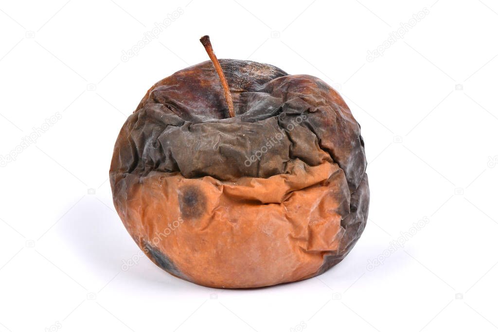 Old rotten apple isolated on white background. High resolution photo. Full depth of field.