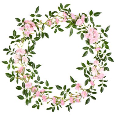 Yaprak ve çiçeklerden oluşan çelenk beyaz arka planda izole edilmiş pembe gül. Yüksek çözünürlüklü. Tam alan derinliği.