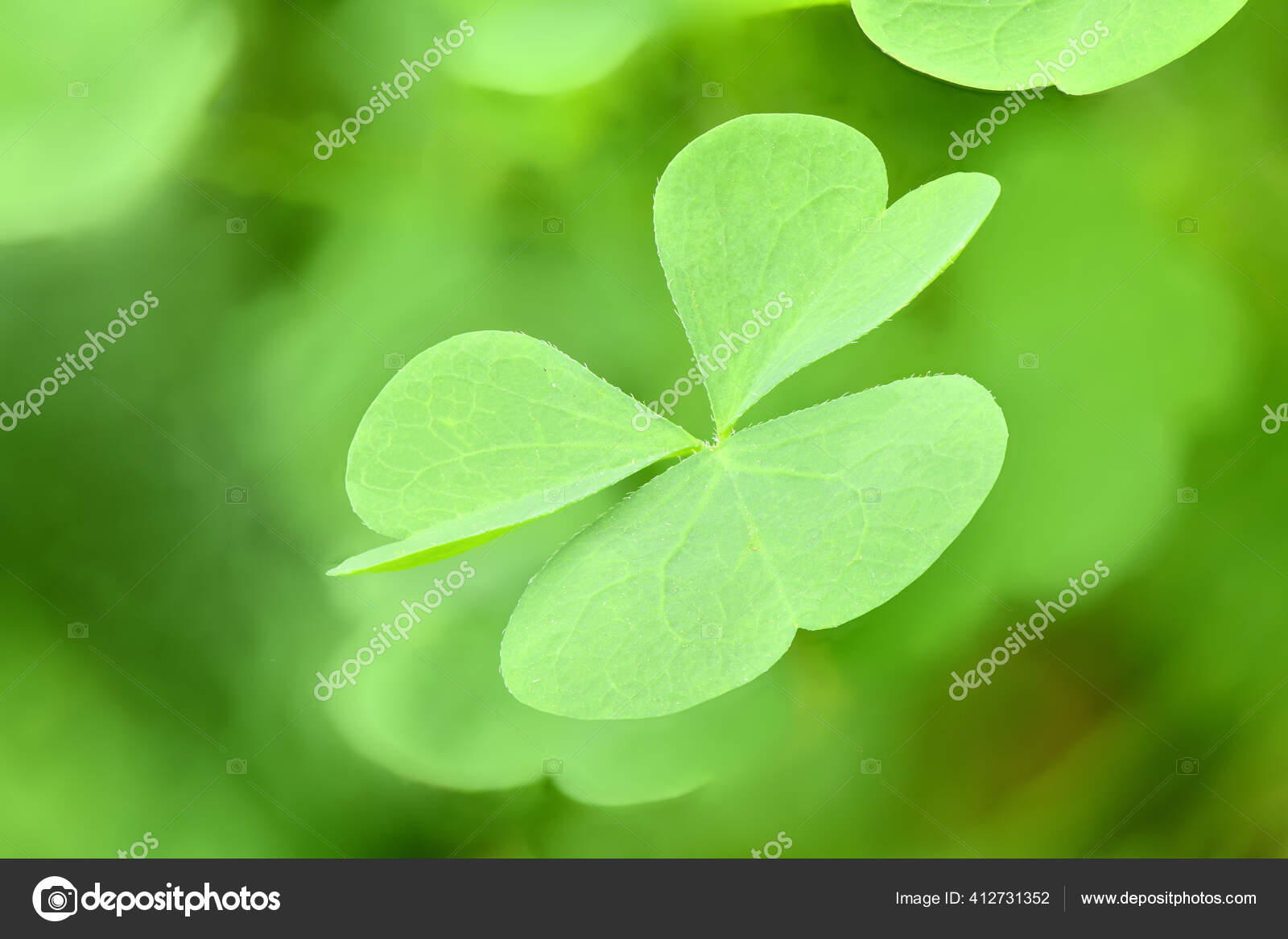 Featured image of post Fundo Verde Alta Resolu o Pesquise a enorme cole o de v deos de stock planos de fundo animados clipes e filmes da istock