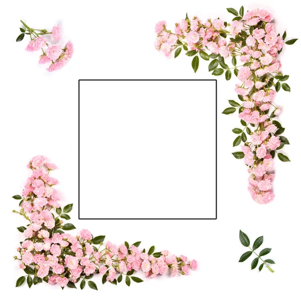 Όμορφα Ροζ Τριαντάφυλλα Που Ορίζονται Ένα Πλαίσιο Απομονωμένο Λευκό Φόντο — Φωτογραφία Αρχείου