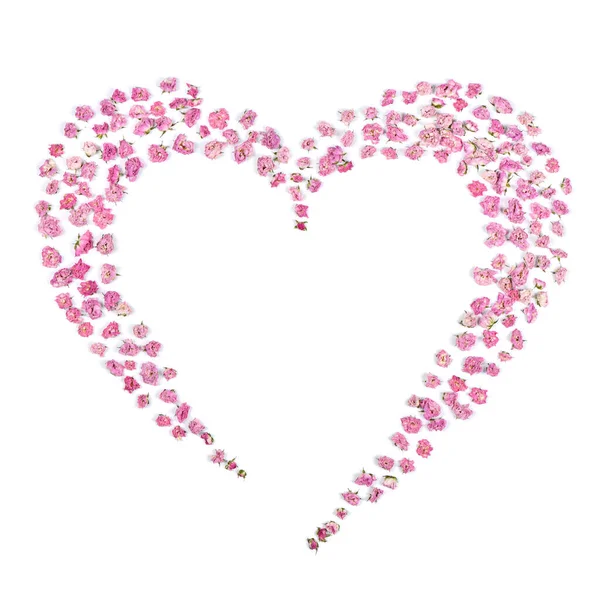 粉红的玫瑰绽放在心形的花朵上 被白色背景隔离 高分辨率照片 全场深度 爱情摄影的概念 — 图库照片