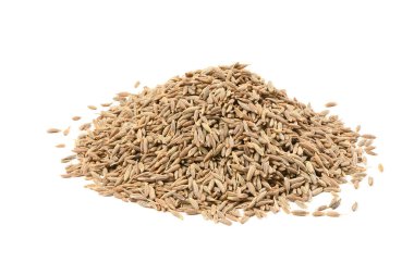 Kimyon ya da zira beyaz arka planda izole edilmiş. Ön manzara. Yüksek çözünürlüklü. Tam alan derinliği.