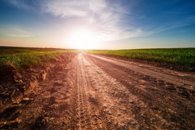 kırsal manzara mavi gökyüzü güneşli ve kırsal alan ile