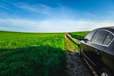 güneşli yeşil alan boyunca toprak yolda araba 