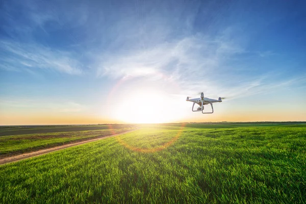 Quadcopter Drone Volant Dans Ciel Bleu Dessus Champ Vert — Photo