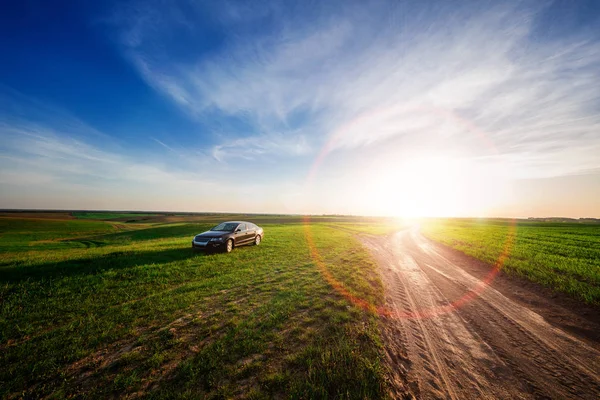 Car Dirt Road Green Field Sunny Day — Stock Photo, Image