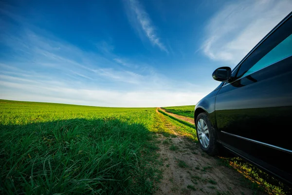 güneşli yeşil alan boyunca toprak yolda araba 