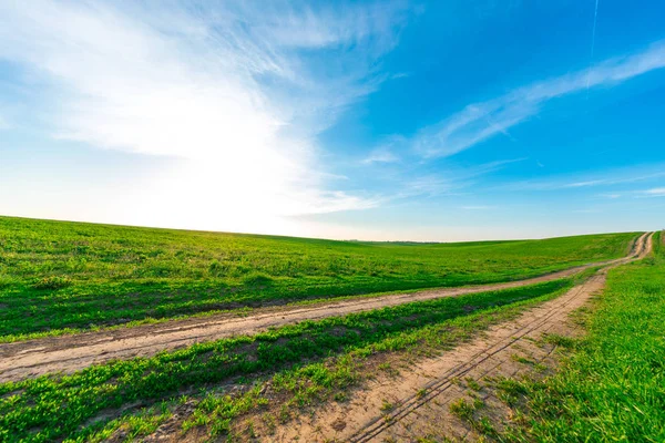 Countryside Landscape Rural Field Blue Sky Sunny Day — Stock Photo, Image