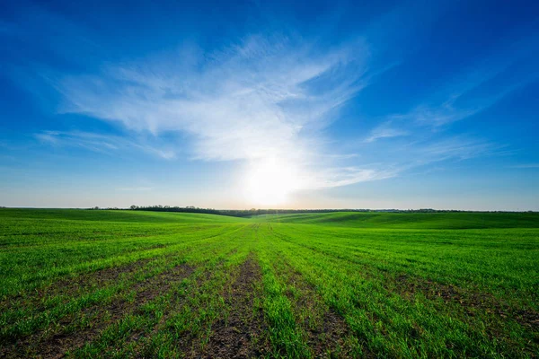 Paesaggio Campagna Con Campo Rurale Cielo Azzurro Nella Giornata Sole — Foto Stock
