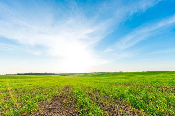 Paesaggio Campagna Con Campo Rurale Cielo Azzurro Nella Giornata Sole — Foto Stock