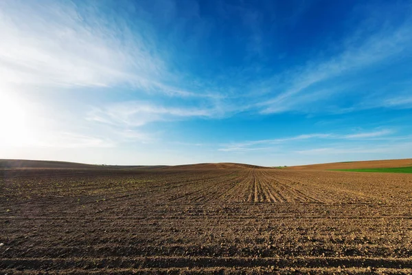 Campo Agricolo Cielo Blu Autunno — Foto Stock