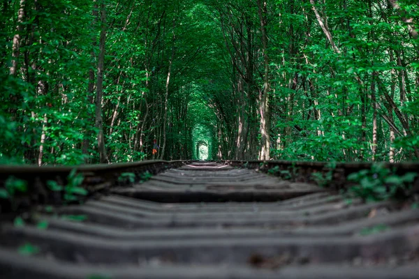 Túnel Ferroviario Bosque Primavera Pintoresco Túnel Amor — Foto de Stock