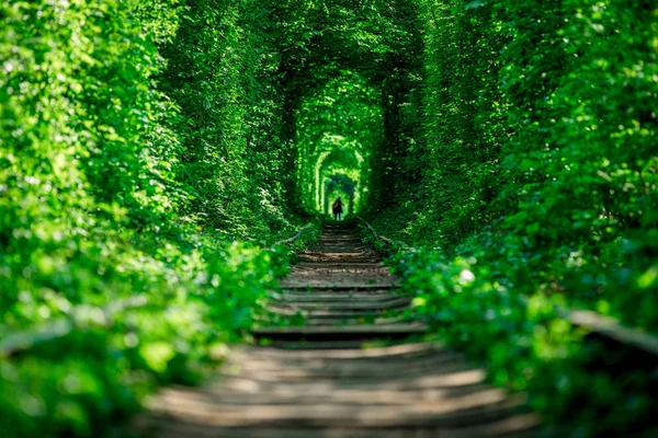 railway tunnel in spring forest, picturesque tunnel of love