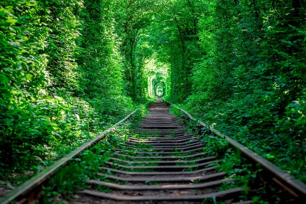 Túnel Ferroviario Bosque Primavera Pintoresco Túnel Amor — Foto de Stock