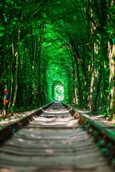 railway tunnel in spring forest, picturesque tunnel of love