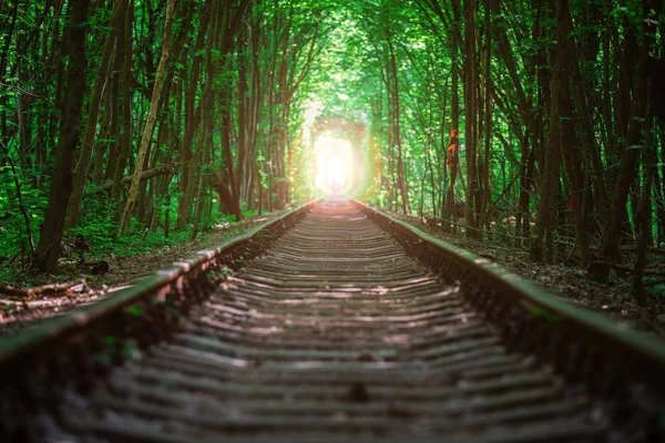 Túnel Ferroviario Bosque Primavera Pintoresco Túnel Amor — Foto de Stock