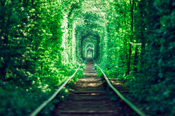 railway tunnel in spring forest, picturesque tunnel of love 